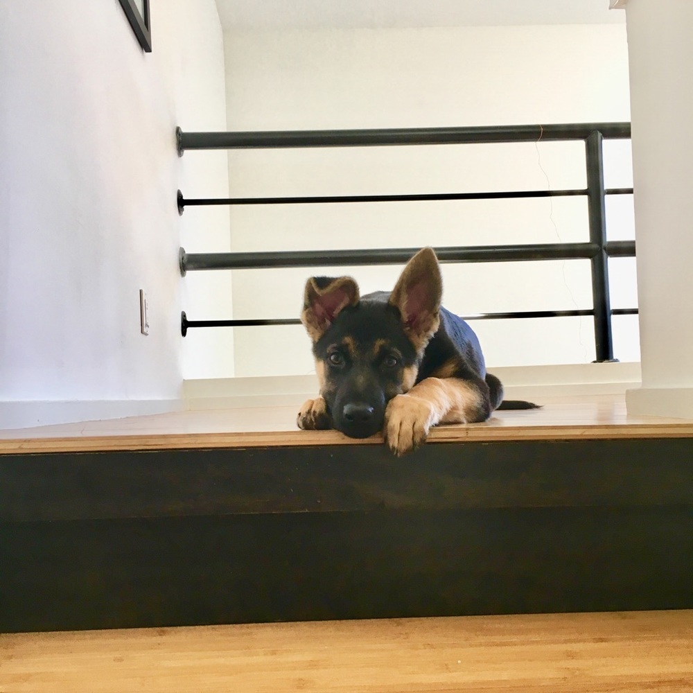 Meet your Posher, Mikaila